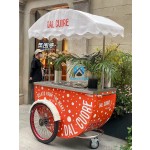 Ice Cream Tricycle Manufacturer - Electric Vintage Ice Cream Bike