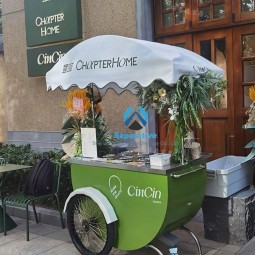 Ice Cream Tricycle Manufacturer - Electric Vintage Ice Cream Bike