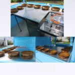 Food Truck Supplier - Commercial Mobile Concession Van Global