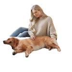 Dog Bed Factory - Washable Memory Foam Bed