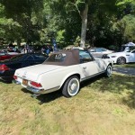 Car Model Factory - Custom Wrought Iron Fiberglass Simulation Beauty Props