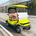 Electric Golf Cart Factory - Wholesale Custom 2/4/6 Seater Passenger Carts