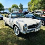 Car Model Factory - Custom Wrought Iron Fiberglass Simulation Beauty Props