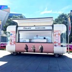 Food Truck Manufacturer - Custom Fly Wings BBQ Burger Full Kitchen Equipment