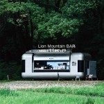 Mobile Food Cart Factory - Custom Multifunctional Snack Cart Large-sized