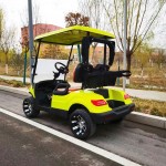 Electric Golf Cart Manufacturer - Custom 4 Wheel Drive Luxury Road Carts