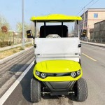 Electric Golf Cart Manufacturer - Custom 4 Wheel Drive Luxury Road Carts