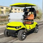 Electric Golf Cart Factory - Custom Outdoor Off Road Battery Operated Cart
