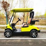 Electric Golf Cart Factory - Wholesale Custom 2/4/6 Seater Passenger Carts