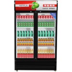 Beverage Cabinet Supplier - Luxury Single Door Air Cooled Drink Cooler