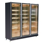 Beverage Cabinet Supplier - Luxury Single Door Air Cooled Drink Cooler