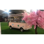 Mobile Food Trailer Factory - Electric European Standard Cart Bar