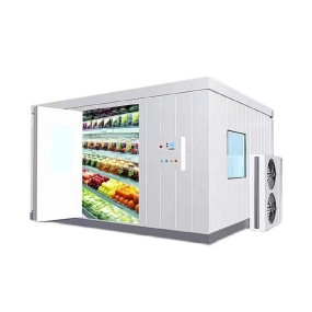 Cold Room Factory - Custom Walk-In Cold Storage Fish Meat Freezer