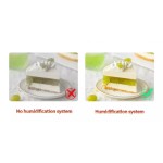 Cupcake Display Factory - Custom Upright Rectangular Glass Pastry Case