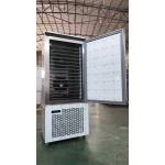 Blast Freezer Factory - Custom Quick-Freezing Cabinet 12-15 Trays Chiller