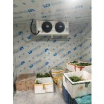 Cold Room Factory - Custom Walk-In Cooler Condensing Unit Evaporator