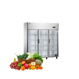 Vertical Freezer Factory - Custom Commercial Upright Stainless Steel Freezer