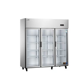 Refrigerator Factory - Custom Three Door Large Capacity Vertical Freezer