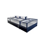 Freezer Showcase Factory - Custom Frozen Food Fish Seafood Butchery Cabinet