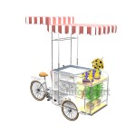 Ice Cream Cart Factory - Stainless Steel Portable Push Cart