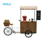 Mobile Cart Manufacturer - Fashion Outdoor Ice Cream Push Cart