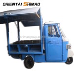 Food Tricycle Factory - Custom Street 3-wheeled Electric APE USA