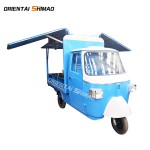 Food Tricycle Factory - Custom Street 3-wheeled Electric APE USA