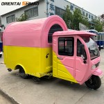 Food Truck Factory - Custom 3 Wheel Automatic Fryer Tricycle Truck