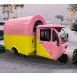 Food Truck Factory - Custom 3 Wheel Automatic Fryer Tricycle Truck