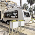 Food Truck Factory - Custom Oriental Shimao Multifunctional Street Van