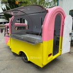 Food Truck Factory - Custom 3 Wheel Automatic Fryer Tricycle Truck