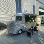 Mobile Kitchen Factory - New Driveable Bbq Churros Cart