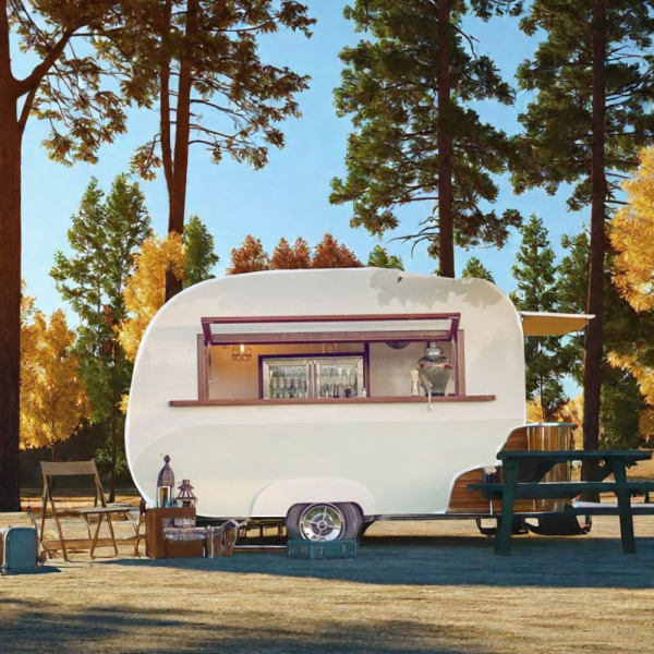 Food Truck Supplier - Factory Direct Supply Mini Snack Trailer