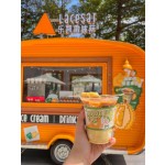 Food Trailer Manufacturer - Hot Selling Customized Kitchen Equipment