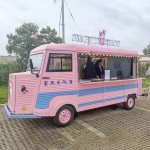 Food Trailer Factory - Pink Electric Modern Design Van Truck