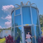 Movable Hotel Supplier - Ready Made Aluminum Steel Birdcage