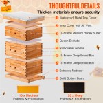 Bee Hive Factory - Wholesale WeWork Beehive Kit Beekeeping Equipment