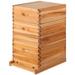 Bee Hive Factory - Wholesale WeWork Beekeeping Tools Apicultura Box