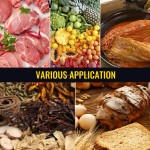 Vacuum Sealer Factory - Custom WeWork DZ 260S Chamber Food Packing