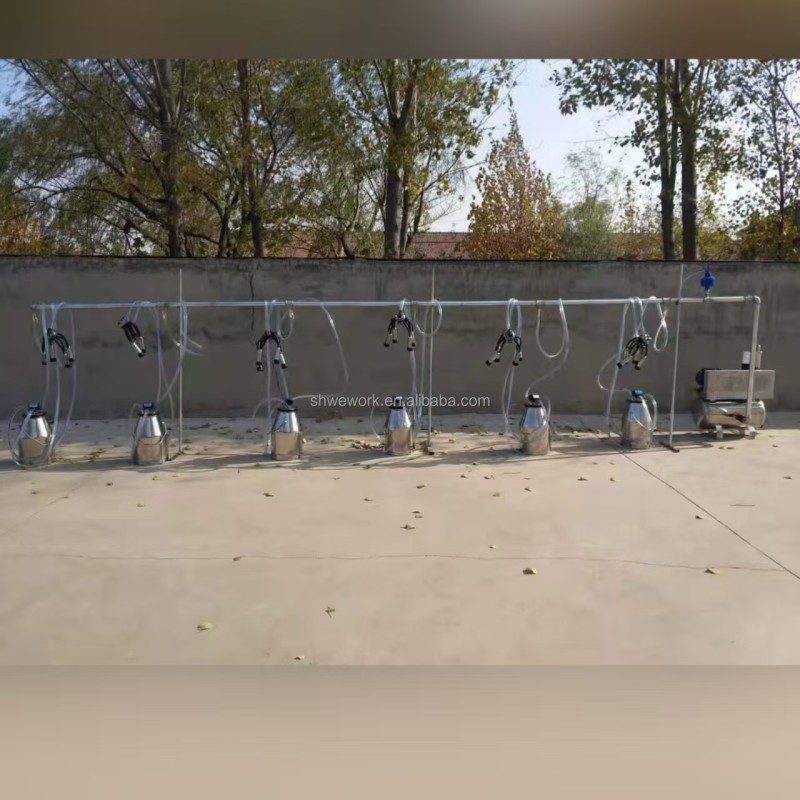 Milking Machine Factory - Custom Electric 6 Cows Gasoline 25L Bucket
