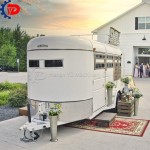 Mobile Food Truck Factory - New Design Hot Dog Ice Cream Cart