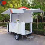 Fast Food Kiosk Factory - Electric Tuk Tuk Taco Juice Van