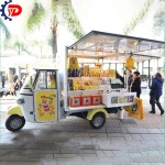Electric Food Cart Manufacturer - Juice Coffee Van Mobile Kitchen Pizza Cart