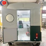 Green Food Truck Supplier - Ice Cream Burger Pizza Taco Catering