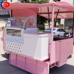 Electric Food Truck Factory - Fast Food Catering Pizza Hot Dog Cart