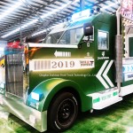 BBQ Trailer Manufacturer - Electric Ice Cream Cart Used Mobile