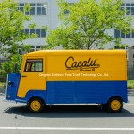 Ice Cream Cart Manufacturer - 480021002500mm Snow Cone Trailer