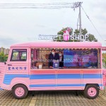 Food Truck Manufacturer - New Business Idea Galvanized Steel Truck