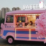 Food Truck Manufacturer - New Business Idea Galvanized Steel Truck