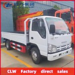 Cargo Truck Factory - Custom 2025 Isuzu 120hp 5 Ton 4x2